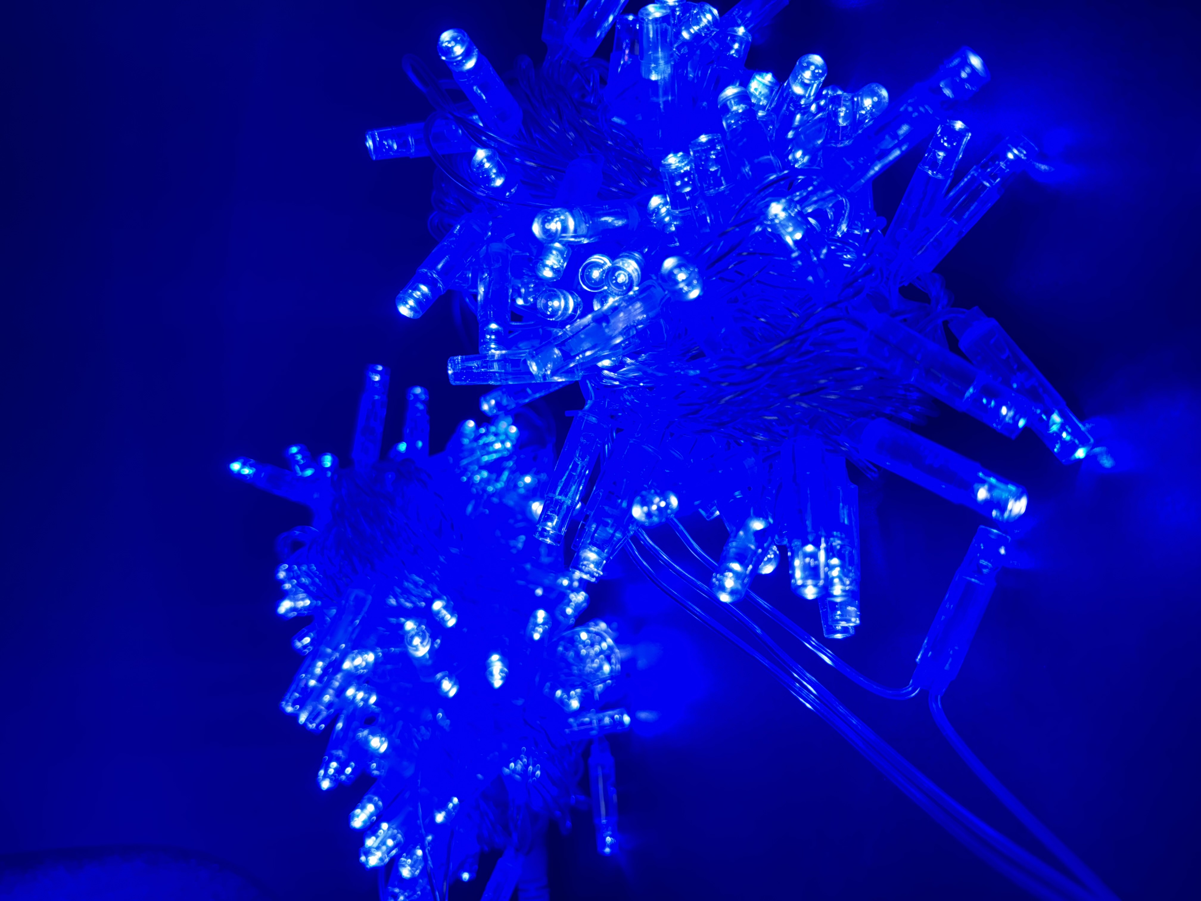 Bleu