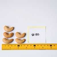 Nueces de Anacardo Tostadas Orgánicas de Vietnam, Marca Dong Phu, Alta Calidad, Certificación ISO W180, Sabor Único a Mantequilla y Sal, 400g, Forma Ovalada, Ideal para Regalo