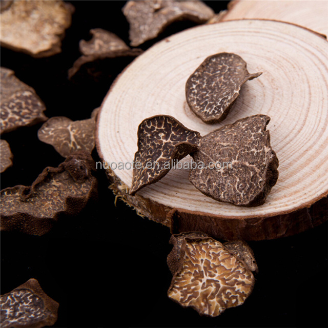 seta supply fresh magic oyster spawn magic truffles log Fungus mushroom