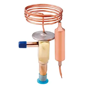 Thermal expansion valve R134A for refrigeration components