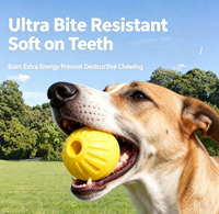 Balle d'entraînement pour chien en EVA, jouet à mâcher résistant pour la dentition des chiens