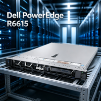 Équipement informatique compact monté en rack, idéal pour les bases de données et la virtualisation, serveur R6615