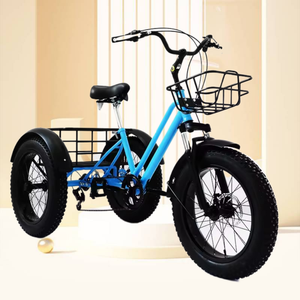 Venta al por mayor 20 pulgadas neumático gordo 7 velocidades triciclo Pedal humano nieve triciclo adultos ancianos cesta cochecito <span class=keywords><strong>precio</strong></span> barato triciclo para adultos - Product Image 6