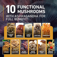 Complément alimentaire végétalien en gommes aux champignons 10-en-1, 3000 mg, haute puissance, pour la concentration et le soutien immunitaire, avec Ashwagandha, en gros, OEM, marque privée