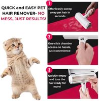 Pratique réutilisable autonettoyant chat et chien épilateur pour animaux de compagnie rouleaux canapé peigne tapis brosse et rouleau à peluches