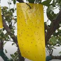 Pièges à colle jaunes écologiques non toxiques résistants aux UV pour serres, plaques collantes anti-insectes en plastique solide
