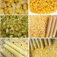 Máquina Desgranadora de Maíz Dulce Comercial, Trilladora Eléctrica de Maíz de Acero Inoxidable, 400-600 kg/h, para Procesamiento de Maíz en Granjas y Producción de Palomitas