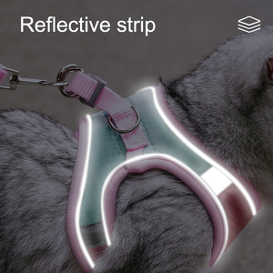 Pettorina per Gatti Riflettente ed Ecologica in Camoscio, Gilet alla Moda per Passeggiate all'Aperto, Set per Gattini e Gatti Piccoli e Medi in Poliestere - Product Image 3