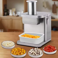 Commerciële groente- en fruitsnijder, -dicer en -slicer van roestvrij staal, elektrische hakselaar/dicer, capaciteit 70 kg/u, kubusvormig