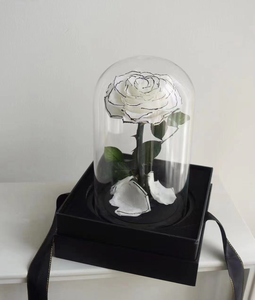 2025 anni all'ingrosso fatto a mano bellezza eterno conservato rose fiore In vetro cupola fiori classici per natale Valentbest qualità - Product Image 5