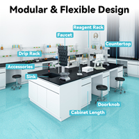 Armoire de laboratoire en acier médical avec surface phénolique pour table de travail de laboratoire de biologie et de microbiologie hospitalière