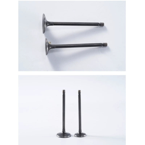 Usine <span class=keywords><strong>Apot</strong></span> CG150 Soupape de moteur d'échappement de moto pour les systèmes de corps d'admission et d'échappement Essential - Product Image 4