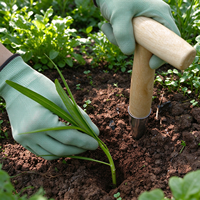 Fabricants chinois d'outils à main : Piqueur de jardin à manche en bois, pointe pour semis, pour la plantation de bulbes, la semence et le repiquage