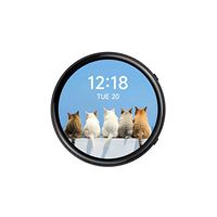 Carte de développement Weixue RP2350, écran capacitif AMOLED double cœur double architecture de 1,75 pouce, capteur six axes