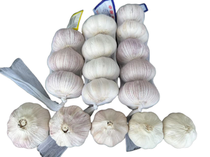 <span class=keywords><strong>Ail</strong></span> sauvage <span class=keywords><strong>violet</strong></span> frais de nouvelle culture chinoise 5.0cm 5.5cm Ajo Chino pour la nourriture populaire en Amérique du Sud avec un emballage en carton de 10kg - Product Image 4