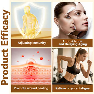 Высококачественный натуральный экстракт морского огурца в порошке, пептид морского огурца - Product Image 6