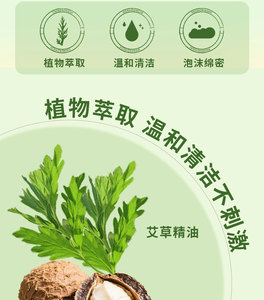 SANGULI Handgemaakte Mugwort Lichaamsmassageapparaat met Natuurlijke Kruidenextracten 100g voor Dagelijkse Huidverzorging - Product Image 4