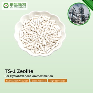 TS-1 ゼオライト チタンシリカライト-1 モレキュラーシーブ吸着剤 高純度工業用触媒 有機化学助剤 - Product Image 3