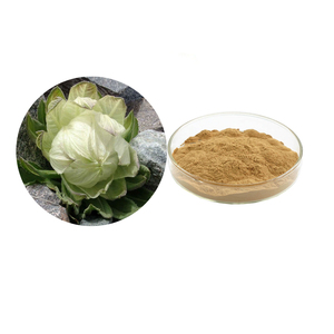 สารสกัดจากสมุนไพรหิมะธรรมชาติผง10:1สารสกัด saussurea involucrata 20:1 saussurea involucrata kar. et kir. สกัด - Product Image 1