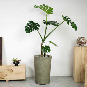 Eenvoudige groene internationale luxe hoogwaardige magnesiumklei bloempot, hoog, groot, minimalistisch, modern, groene plant, binnenplaats - Product Image 3