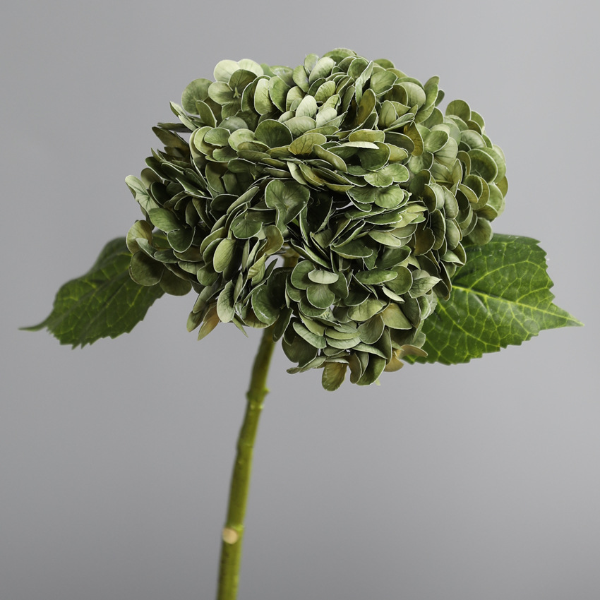 Vert foncé