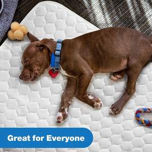 wholesale pet <b>pee</b> <b>pad</b> Washable for Adults Bed Reusable Underpads puppy <b>pee</b> <b>pads</b> Waterproof <b>Pads</b> for Bed - Product Image 4