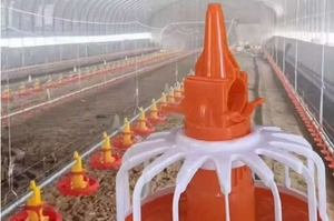 Hot bán Điều kiện Mới xincan thương hiệu chất lượng cao Tự động Gà Thịt Gà Gia cầm Hệ Thống Trung chuyển Made nhựa PP Top trang trại - Product Image 5