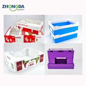 Chất lượng cao cấp thực phẩm tấm <span class=keywords><strong>polypropylene</strong></span> rỗng cho nông nghiệp trái cây và rau bao bì hộp & doanh thu container - Product Image 1