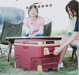 Nouvelle arrivée IR42 nouveaux produits <span class=keywords><strong>12V</strong></span> 24V <span class=keywords><strong>220V</strong></span> <span class=keywords><strong>Camping</strong></span> réfrigérateur congélateur Portable glacière maison voiture réfrigérateurs - Product Image 5