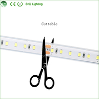 Lampu Strip LED Fleksibel RGBW DC 12V 5050 5m 96 LED/m IP33 6000K Tembaga dengan Kontrol Suara USB/Wi-Fi