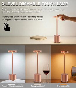 Lampe de table LED moderne rechargeable par USB avec batterie Li, corps en fer sans fil, flexible, simple, à intensité variable en continu (couleur/luminosité) - Product Image 2