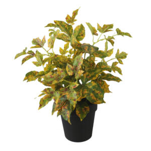 Plantes artificielles en plastique, 36cm, vente en gros, avec Pot pour décor de maison, gazon, <span class=keywords><strong>lierre</strong></span>, bonsaï, nouveauté - Product Image 3