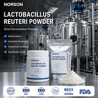 Polvo Probiótico de Lactobacillus Reuteri Liofilizado a Granel, 100 Mil Millones de UFC/g, OEM ODM