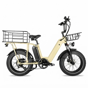 Bicicleta Eléctrica con Canasta Delantera y Trasera, Resistente a Pinchazos, 48v 30ah, Grado Comercial Dp-2012, Neumáticos Anchos, Frenos de Disco Hidráulicos - Product Image 3