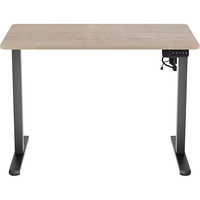 Bureau debout personnalisable avec échantillon gratuit, table d'ordinateur de bureau réglable en hauteur électriquement avec double moteur