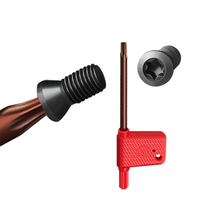 Kunci Pas Torx Bentuk Plum Tipe FLAG Warna Merah IRON ROOT T7 T9 T8 T10 T15 T20 OEM untuk Sisipan Karbida