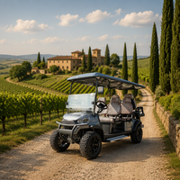 Voiturette de golf électrique 6 places ; Moteur 5 kW ; Capable de franchir des pentes de 25 degrés à pleine charge ; Adaptée à une utilisation tout-terrain.