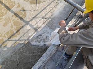 Pembangkit Biogas Kecil Produksi Metana Pengurangan COD BioPower200 Bakteri Anaerobik yang Ditingkatkan - Product Image 5