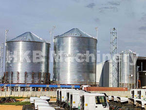 Silos De 5000 t Silos De Almacenamiento Para Almacenamiento De Alimentos - Product Image 3