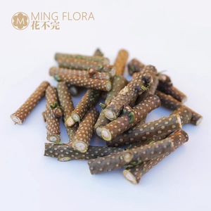 Guirlande miniature Mingflora Fresh Noble Pine pour décoration de Noël, cadeau, branches coupées importées du Danemark - Product Image 3