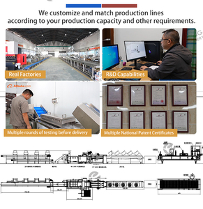 Ligne de nettoyage et de séchage de fruits sur mesure pour usine : oranges, fruits du dragon, ananas, pruneaux, agrumes - Product Image 5