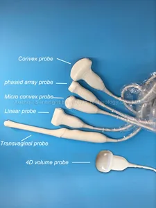 Uso hospitalario Máquina de ultrasonido obstétrico Instrumento de diagnóstico de ultrasonido Doppler de color 3D