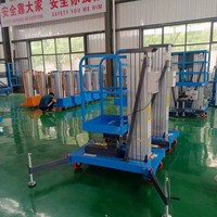 Plateforme élévatrice verticale électrique portable 10 m pour une personne, économique, pour travaux en hauteur