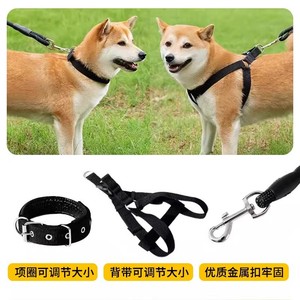 Collier et harnais réfléchissants réglables pour chien avec laisse, pour petites et moyennes races, utilisation en extérieur - Product Image 1