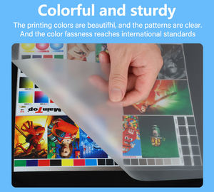 حبر Winnerjet DTF من إبسون I3200 XP600 L1800 L805 وdx5 طابعة CMYK DTF حبر صبغة نقل - Product Image 6