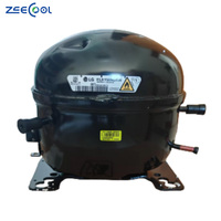 Compresseur de réfrigérateur domestique FMA102NAMA FLD165NBMA FLA150NBMA R600a pour réfrigérateur LG