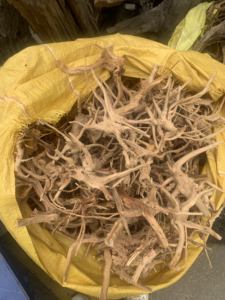 High-End Kleine Spinhout Wortel Bonsai Set Milieuvriendelijke Natuurlijke Stam Drijfhout <span class=keywords><strong>Aquarium</strong></span> Decoratie <span class=keywords><strong>Aquarium</strong></span> Tank Plant Stomp Zakken - Product Image 5