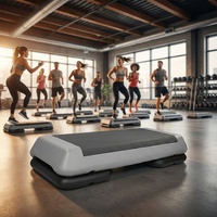 IUNNDS Plateforme de saut moyenne, Planche d'exercice, Stepper aérobique, Plateforme de gym réglable, en matériau PP économique