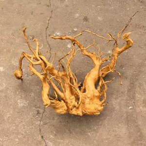 Drijfhout Voor <span class=keywords><strong>Aquarium</strong></span> Natuurlijk Reptiel Azalea Wortelhout 60-90Cm Diverse Takken <span class=keywords><strong>Aquarium</strong></span> Decoratie <span class=keywords><strong>Aquarium</strong></span> <span class=keywords><strong>Aquarium</strong></span> <span class=keywords><strong>Aquarium</strong></span> Ornament Decor - Product Image 1