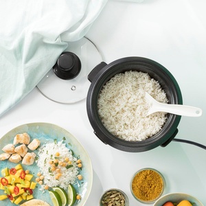 Olla Arrocera Eléctrica Grande de 8 Litros para Restaurantes y Hoteles, con Revestimiento Antiadherente, Cocción Rápida y Carcasa de Hierro - Product Image 4